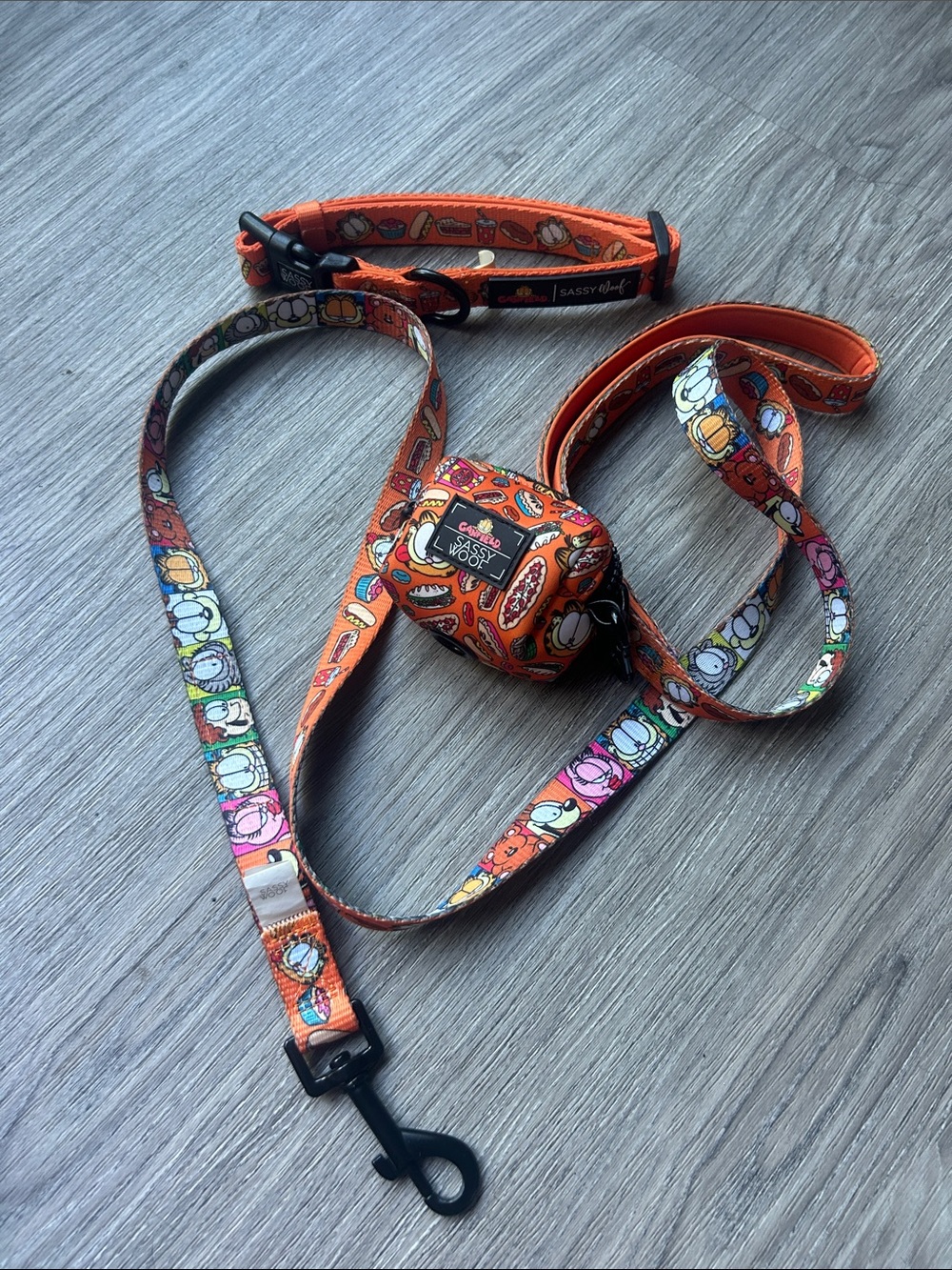 Garfield x Sassy Woof 3 piece dog walk set Collar Fabric Leash Waste Bag Holder